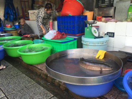 fish saigon market.jpeg